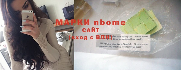 дмт Касимов