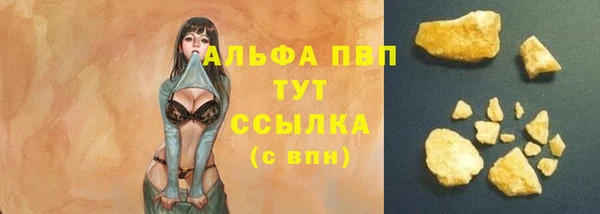 дмт Касимов