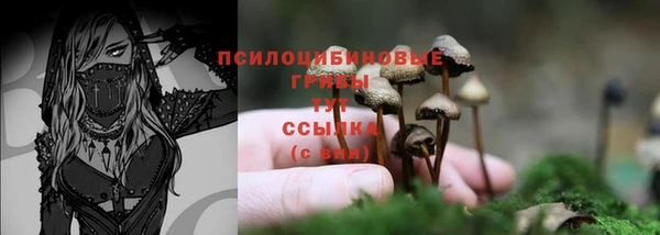 спайс Кинешма