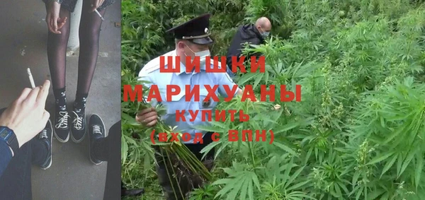 крисы Карпинск