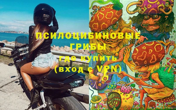 крисы Карпинск